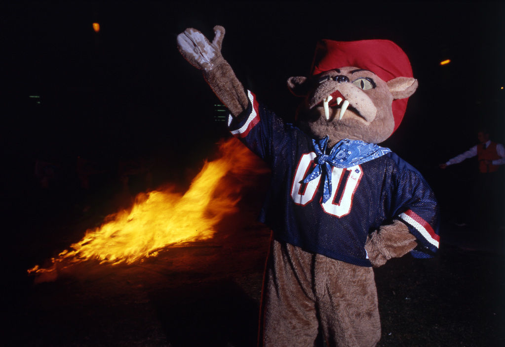 Wilbur T. Wildcat
